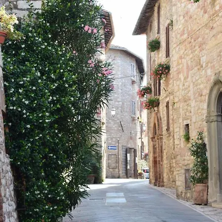 La Contessa